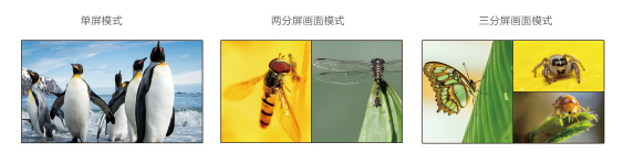 1603348058432443.jpg 四畫面2.jpg